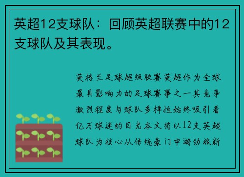 英超12支球队：回顾英超联赛中的12支球队及其表现。