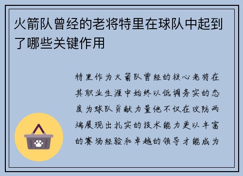 火箭队曾经的老将特里在球队中起到了哪些关键作用