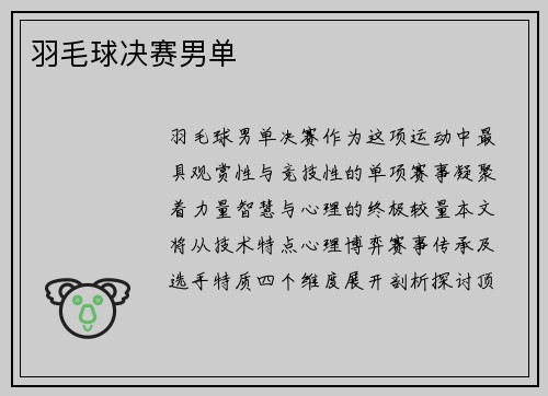 羽毛球决赛男单